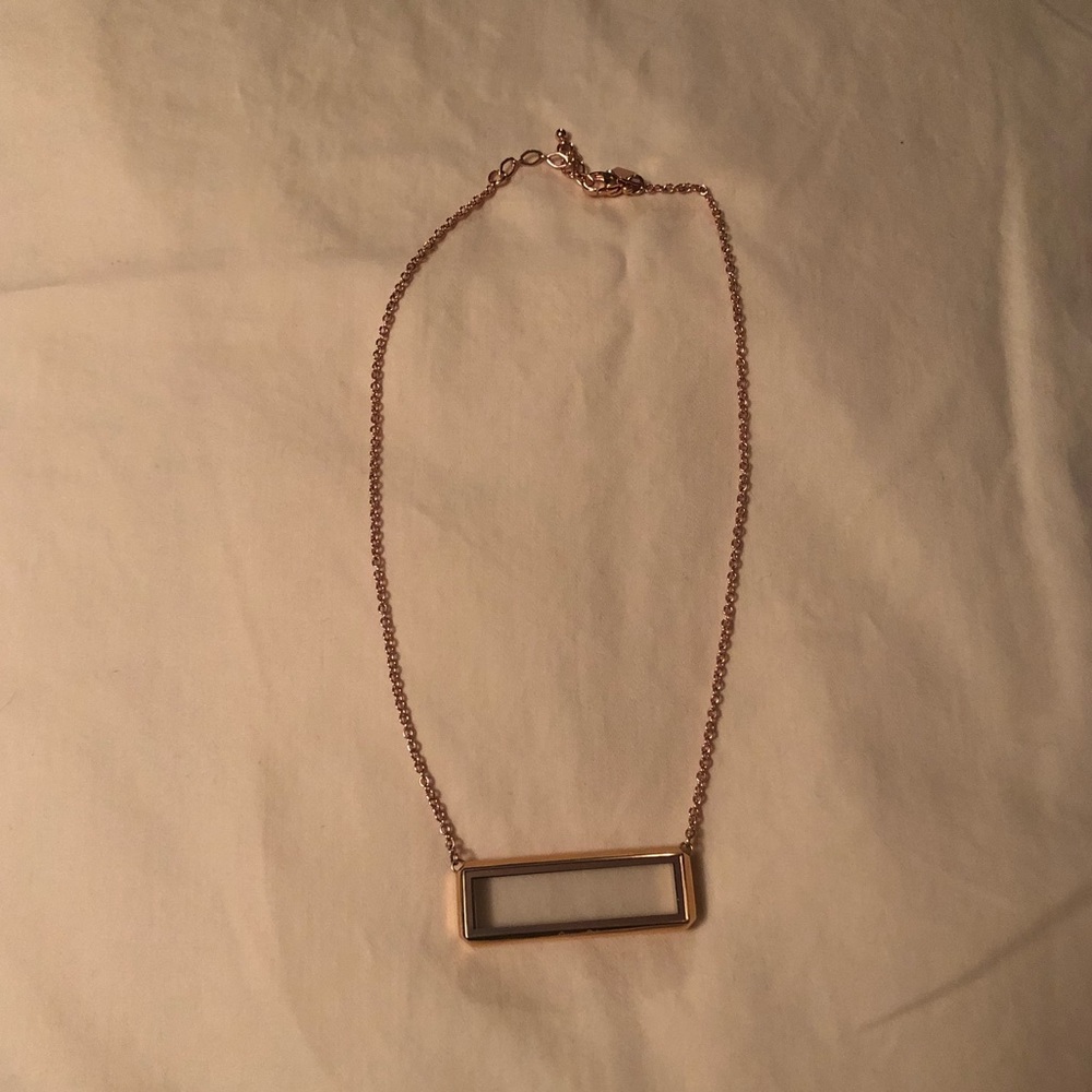 Rose Gold Bar Living Locket